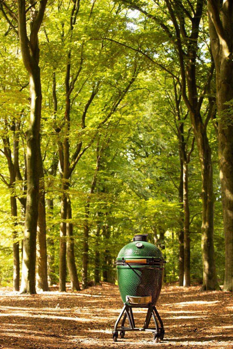 Large Big Green Egg