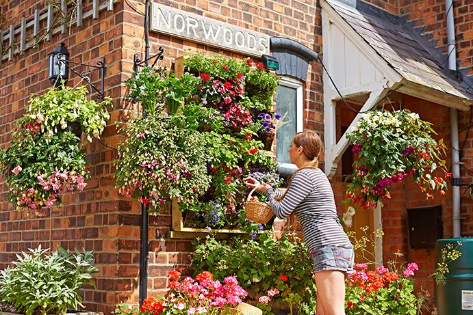   Solārā laistīšanas sistēmas C24 siltumnīcām un dārziem 